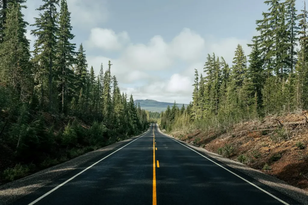 Empty paved highway with a yellow centre line stretching through evergreen forest toward distant mountains — pre-trip vehicle check before a summer road trip from Calgary to the Rockies, Rite-Price Auto Service Centre